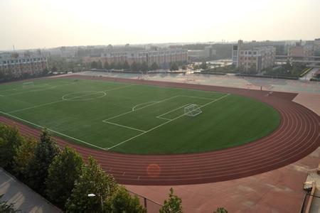 武邑天气预报10天查询,末来十天天气