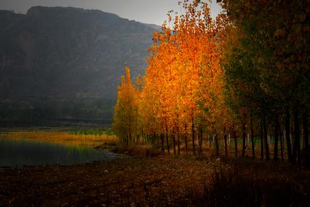 平陆天气预报10天查询,末来十天天气