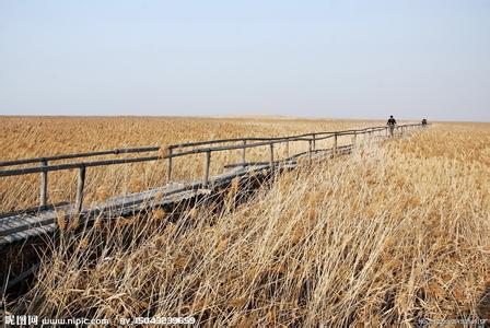 农安天气预报10天查询,末来十天天气
