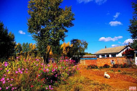 密山天气预报10天查询,末来十天天气