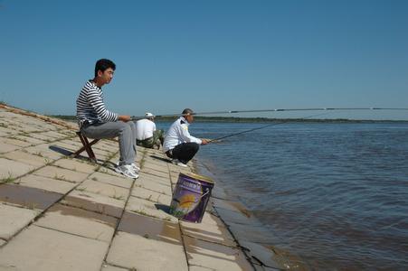 绥滨天气预报10天查询,末来十天天气