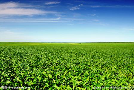 海伦天气预报10天查询,末来十天天气