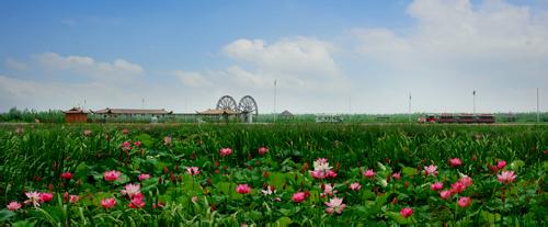 泗洪天气预报10天查询,末来十天天气