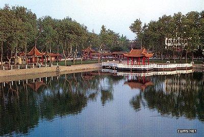 龙子湖天气预报10天查询,末来十天天气