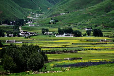 巴南天气预报10天查询,末来十天天气