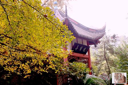 成都天气预报10天查询,末来十天天气