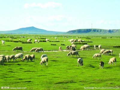 内蒙古天气预报_内蒙古天气预报一周7天10天15天内蒙古天气预报,内蒙古天气预报一周7天10天15天