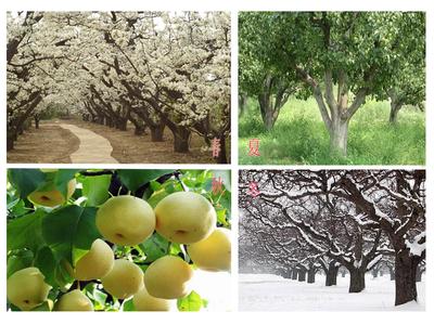 滨州阳信天气预报_阳信天气预报一周7天10天15天滨州阳信天气预报,阳信天气预报一周7天10天15天