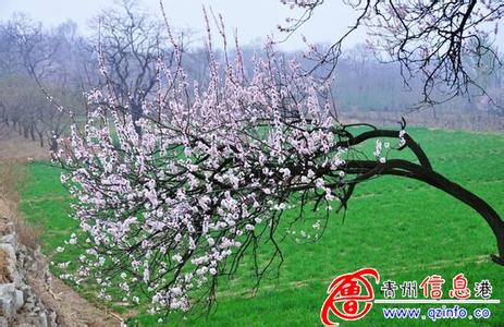 杏花岭pm2.5实时查询,杏花岭区空气质量指数查询