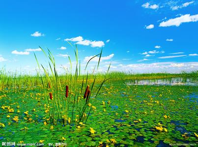 大庆pm2.5实时查询,大庆市空气质量指数查询