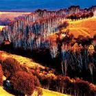 阿勒泰蝴蝶沟 阿勒泰蝴蝶沟