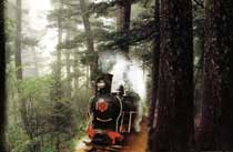 伊春南山森林公园 伊春南山森林公园