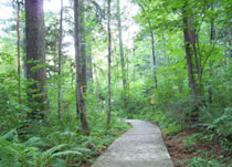 伊春溪水国家森林公园 伊春溪水国家森林公园