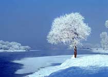 吉林雾凇岛 吉林雾凇岛