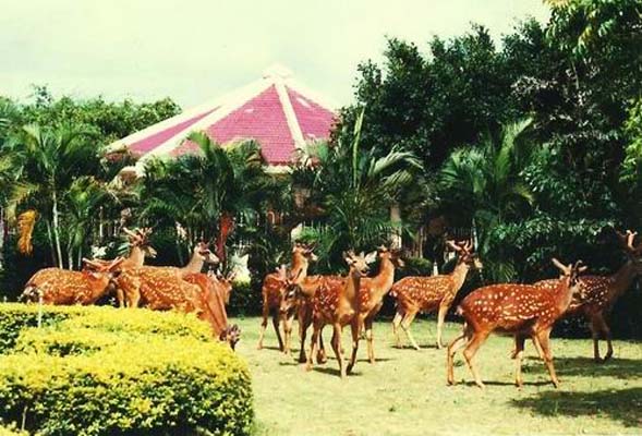 吉林龙潭山鹿场 吉林龙潭山鹿场