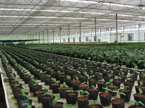 绍兴方圆农业观光园 绍兴方圆农业观光园