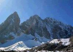 绍兴花市 绍兴花市