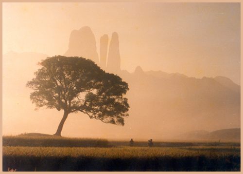 江山江郎山 江山江郎山