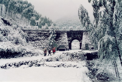 衢州仙霞森林公园 衢州仙霞森林公园