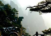 黄山仙女绣花 黄山仙女绣花