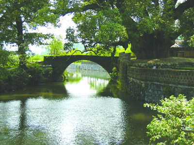 苏州吴县古樟园 苏州吴县古樟园