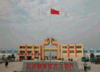 如皋花木大世界 如皋花木大世界