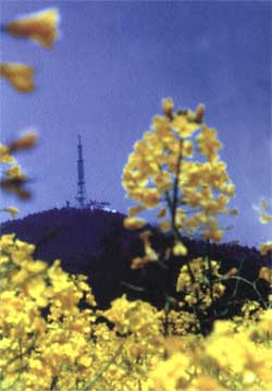 宣城敬亭山 宣城敬亭山