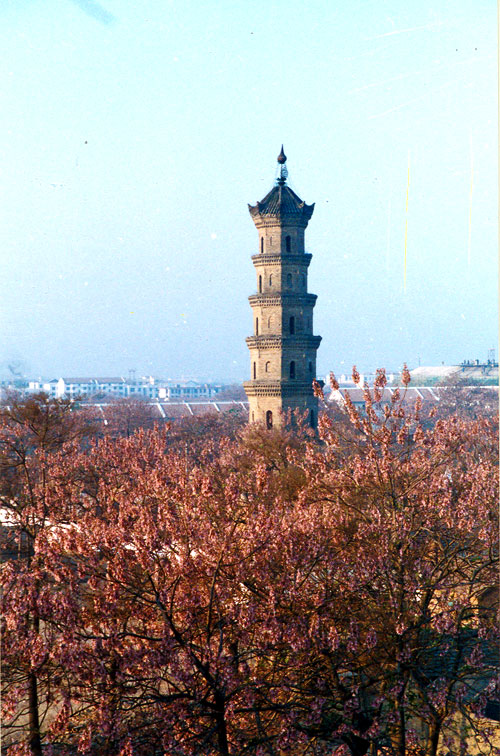 亳州薛阁塔 亳州薛阁塔