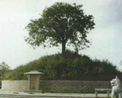 三门峡夏后皋墓 三门峡夏后皋墓