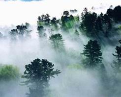 信阳新县连康山保护区 信阳新县连康山保护区