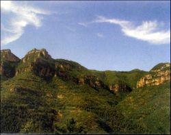 鹰潭上清国家森林公园 鹰潭上清国家森林公园