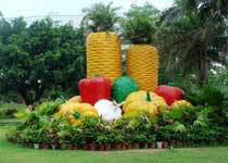 珠海农科奇观天气 珠海农科奇观天气