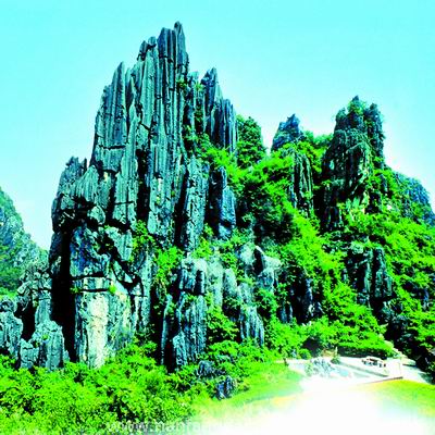 阳江春湾天气 阳江春湾天气