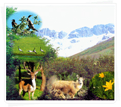 赤峰赛罕乌拉天气 赤峰赛罕乌拉天气