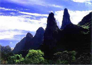 阳朔杨堤 阳朔杨堤