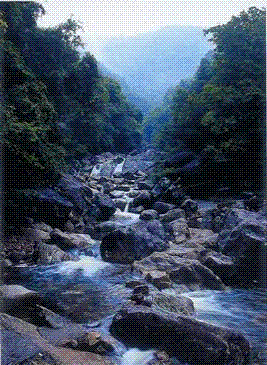 防城港上思魔石谷 防城港上思魔石谷