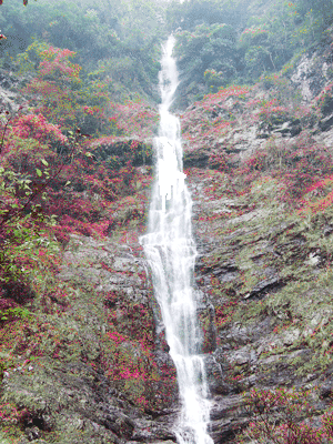 防城港神马水瀑布(马射尿瀑布) 防城港神马水瀑布(马射尿瀑布)