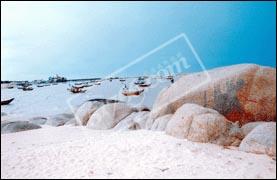 钦州茅尾海 钦州茅尾海