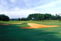 海南东山高尔夫