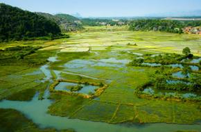 临桂山尾村 临桂山尾村