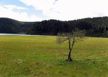 迪庆普达措国家森林公园 迪庆普达措国家森林公园