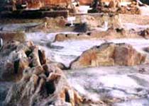 枣阳雕龙遗址天气 枣阳雕龙遗址天气