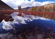 稻城桑堆小镇 稻城桑堆小镇