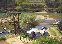 广南坝美 广南坝美