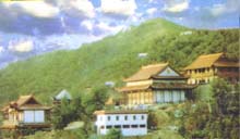 武汉新洲 武汉新洲