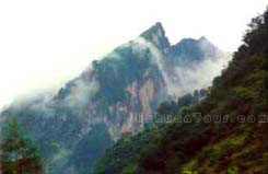 绵阳片口自然保护区 绵阳片口自然保护区