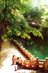 玉溪九龙池天气 玉溪九龙池天气