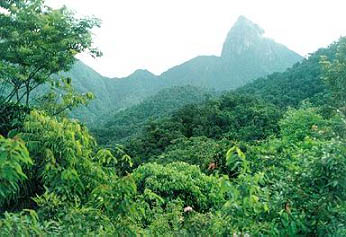 延安国家森林公园 延安国家森林公园