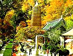 固原秦汉萧关 固原秦汉萧关