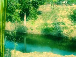 惠阳金桔自然保护区 惠阳金桔自然保护区